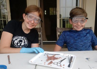 Sutter Peak school kids cutting a starfish for science purposes